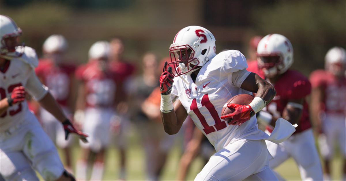 lsu football report tigers