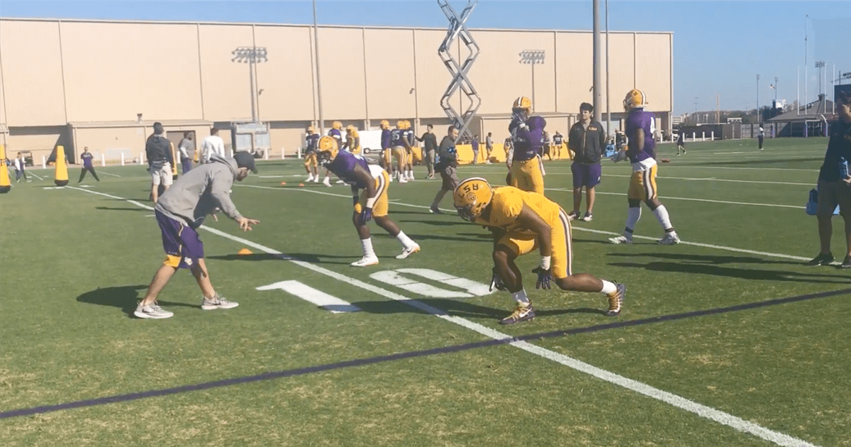 lsu football report tigers