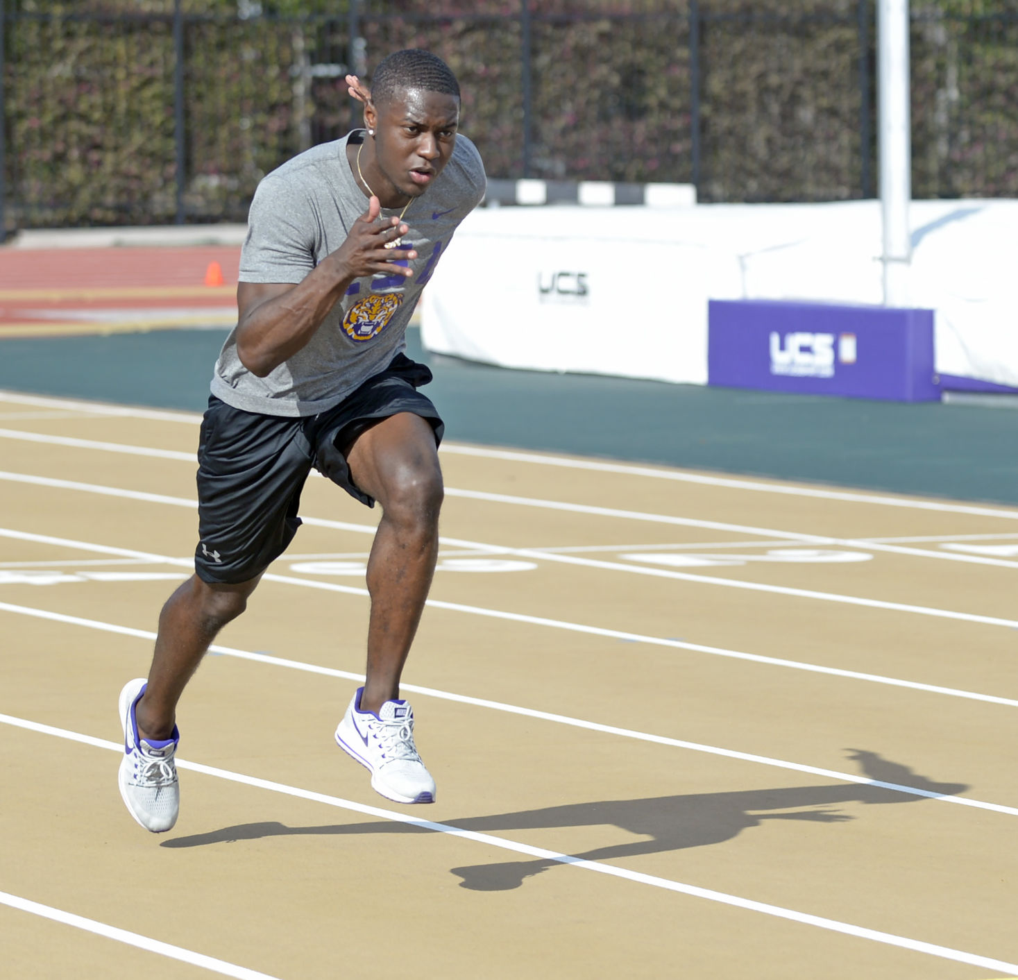 lsu football report tigers