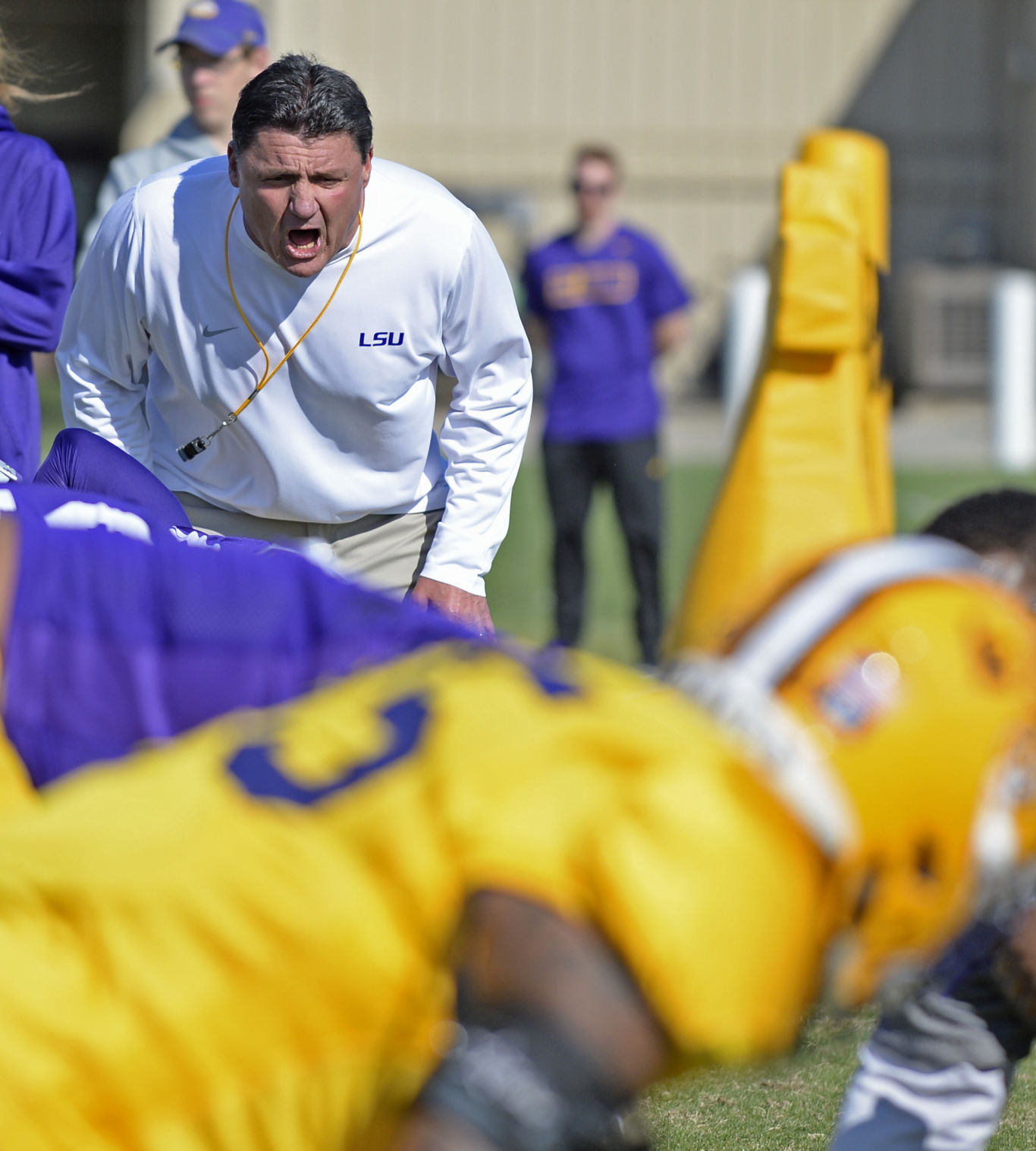 lsu football report tigers