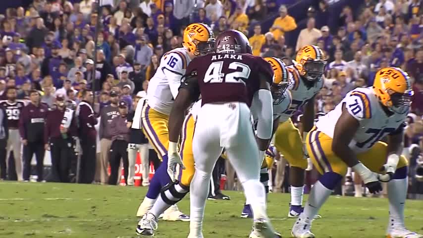 lsu football report tigers