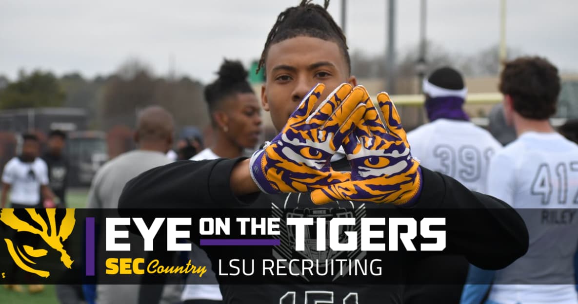 lsu football report tigers
