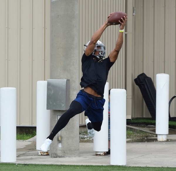 lsu football report tigers