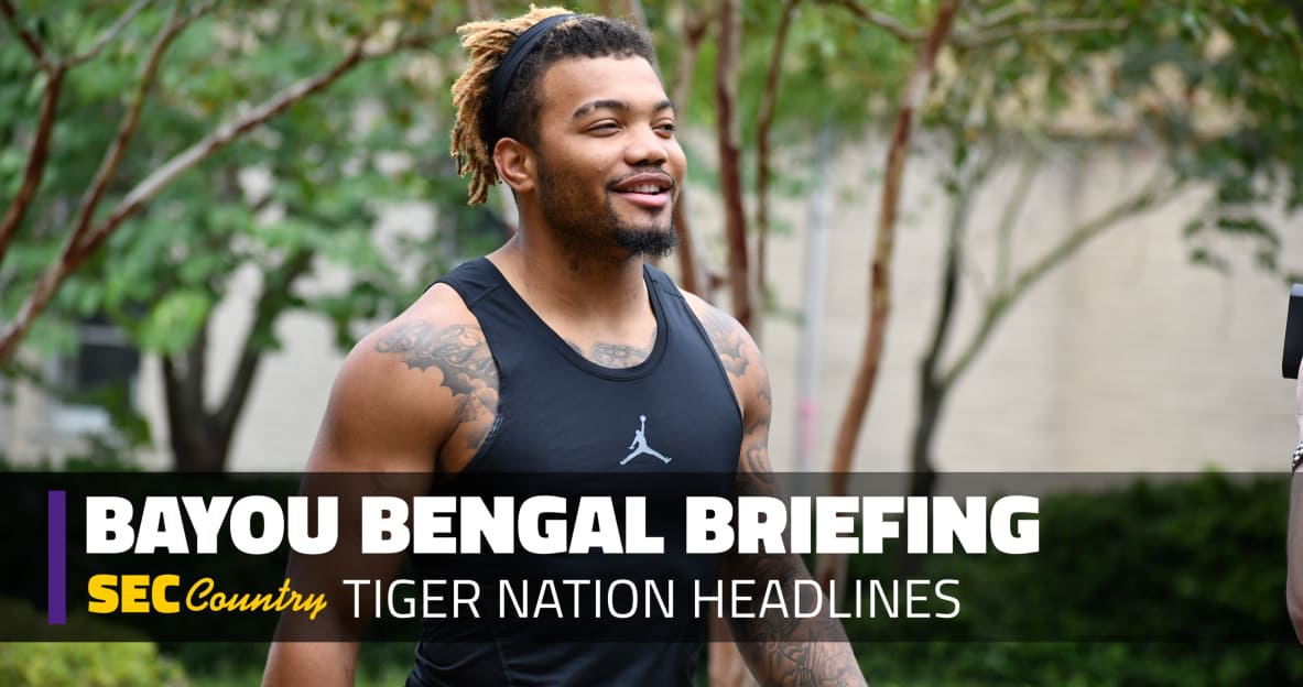 lsu football report