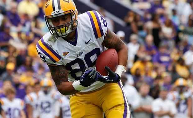 lsu football report tigers