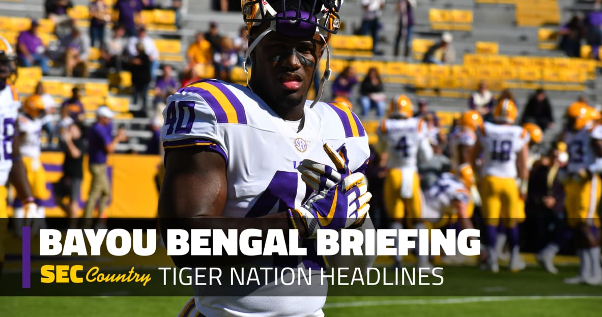 lsu football report tigers