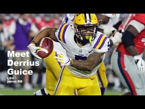 lsu football report tigers