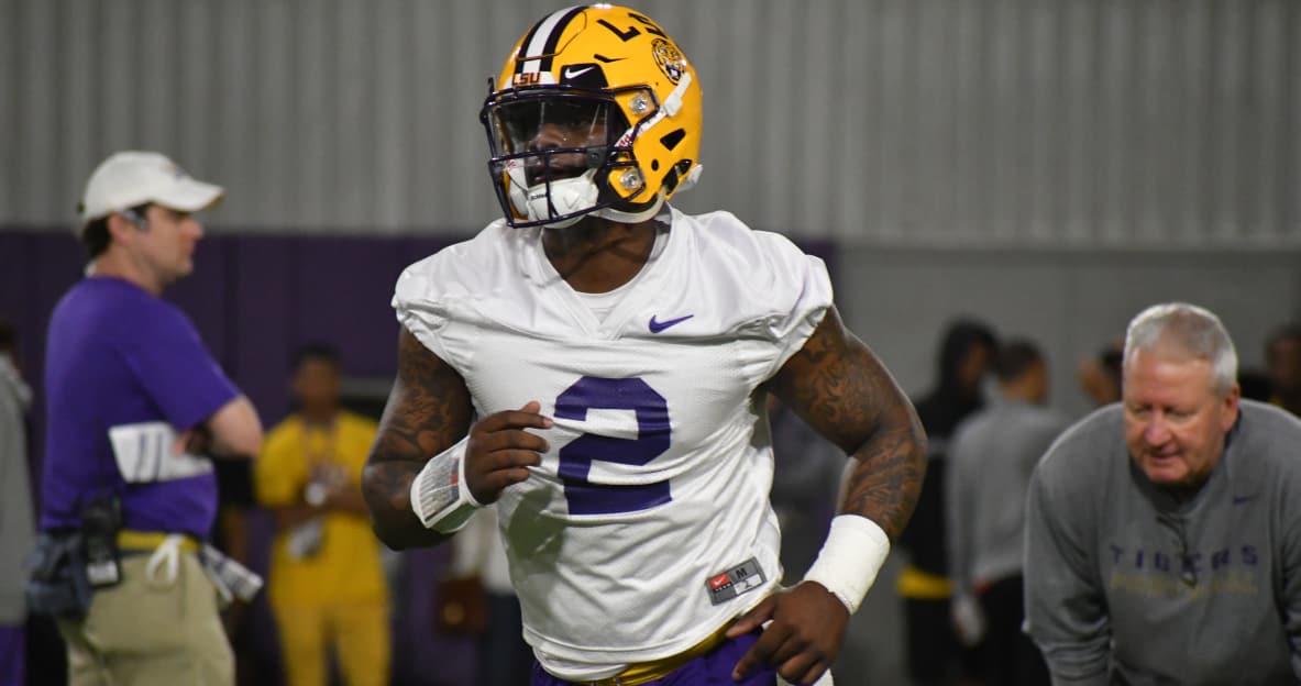 lsu football report tigers