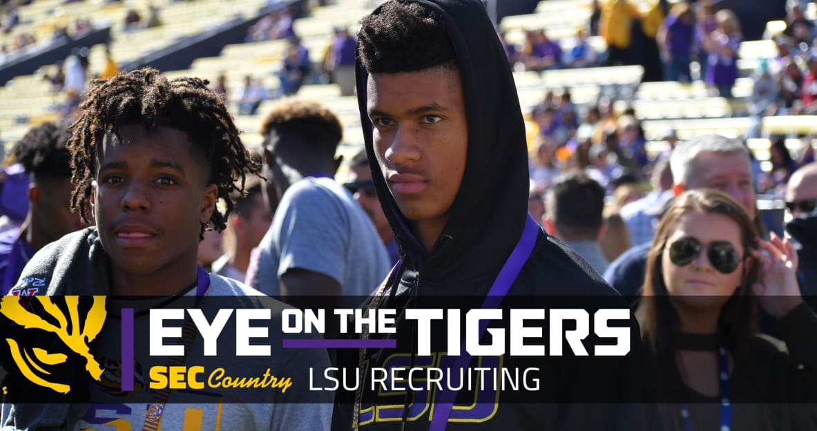 lsu football report