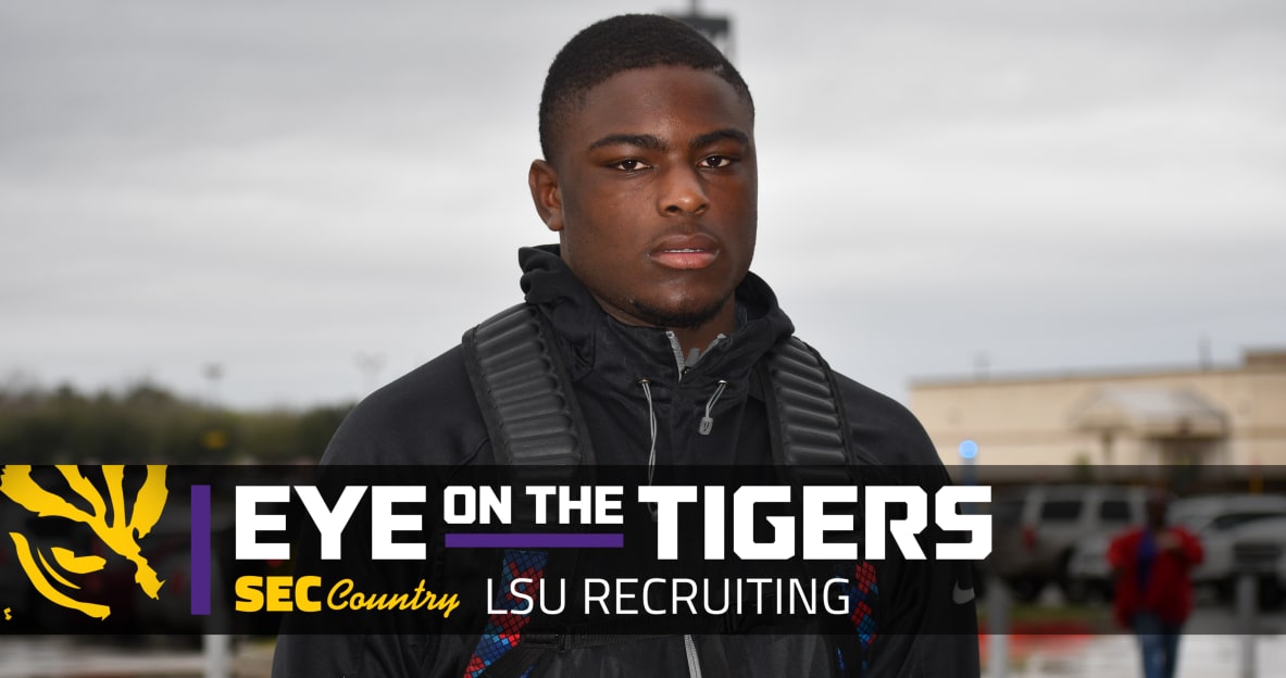 lsu football report tigers
