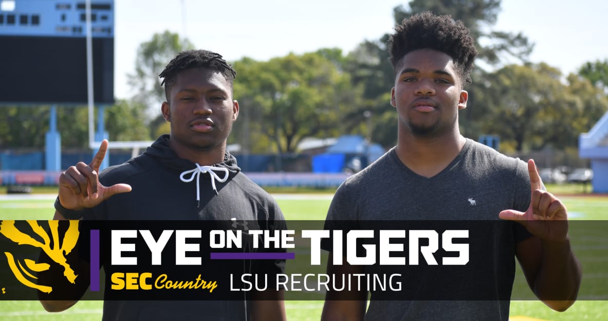 lsu football report tigers