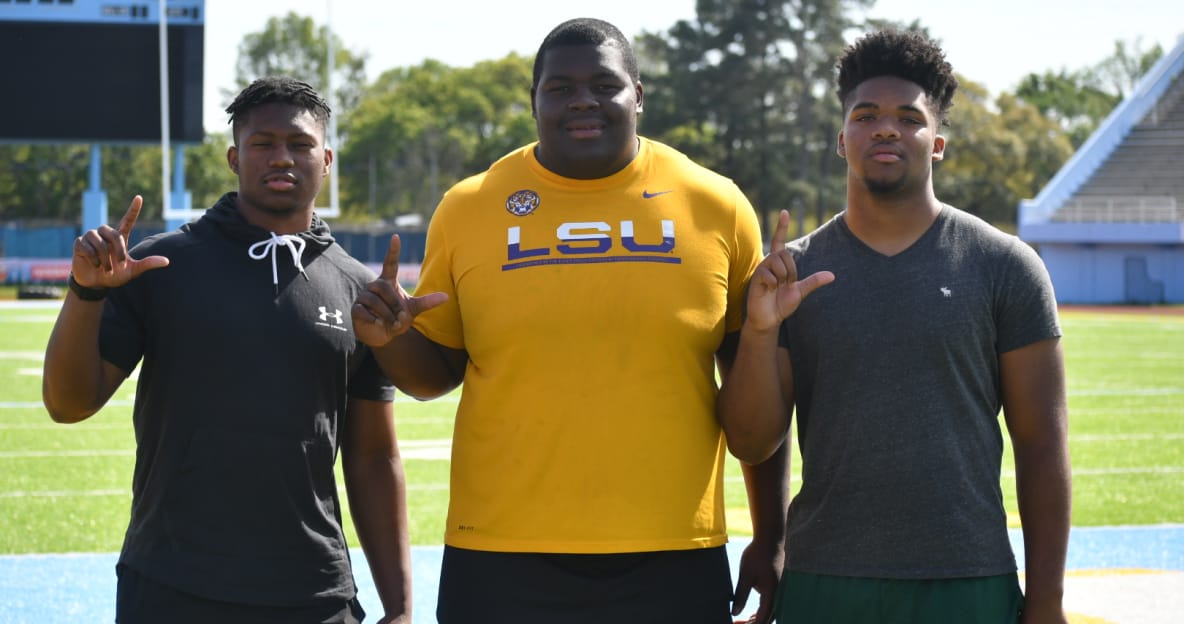 lsu football report tigers