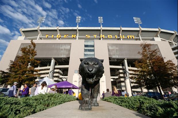 lsu football report tigers
