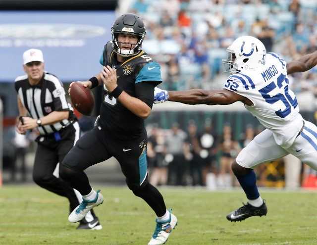 lsu football report tigers