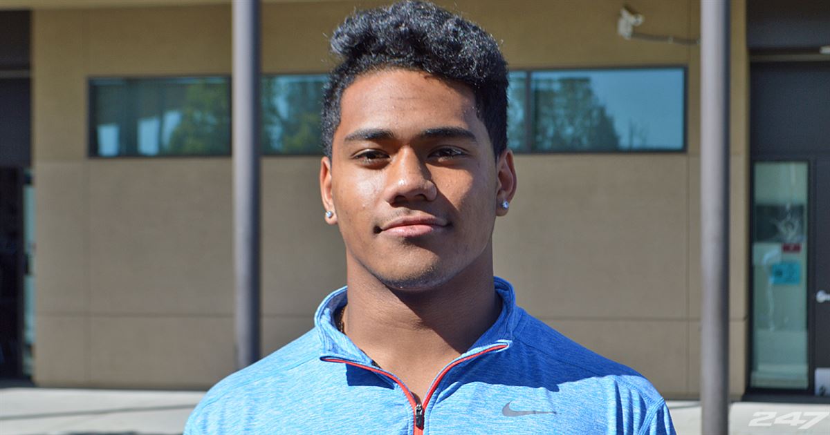 lsu football report tigers