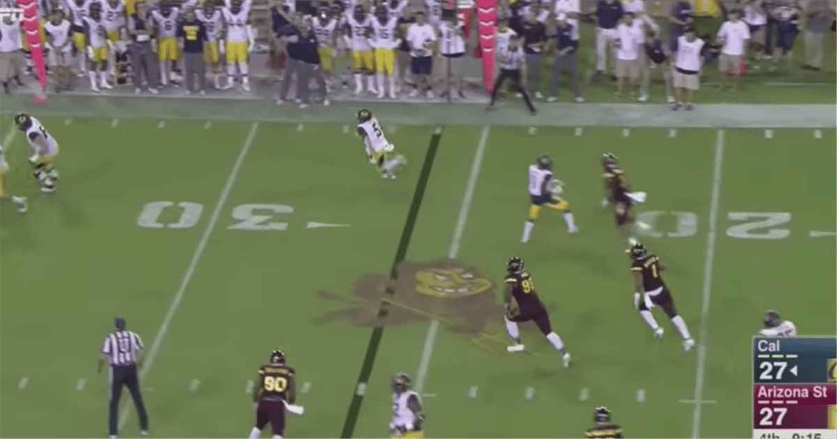 lsu football report tigers