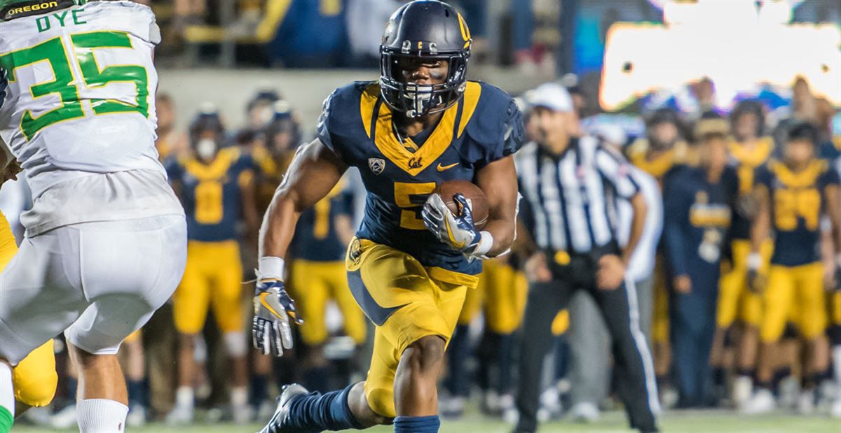 lsu football report tigers