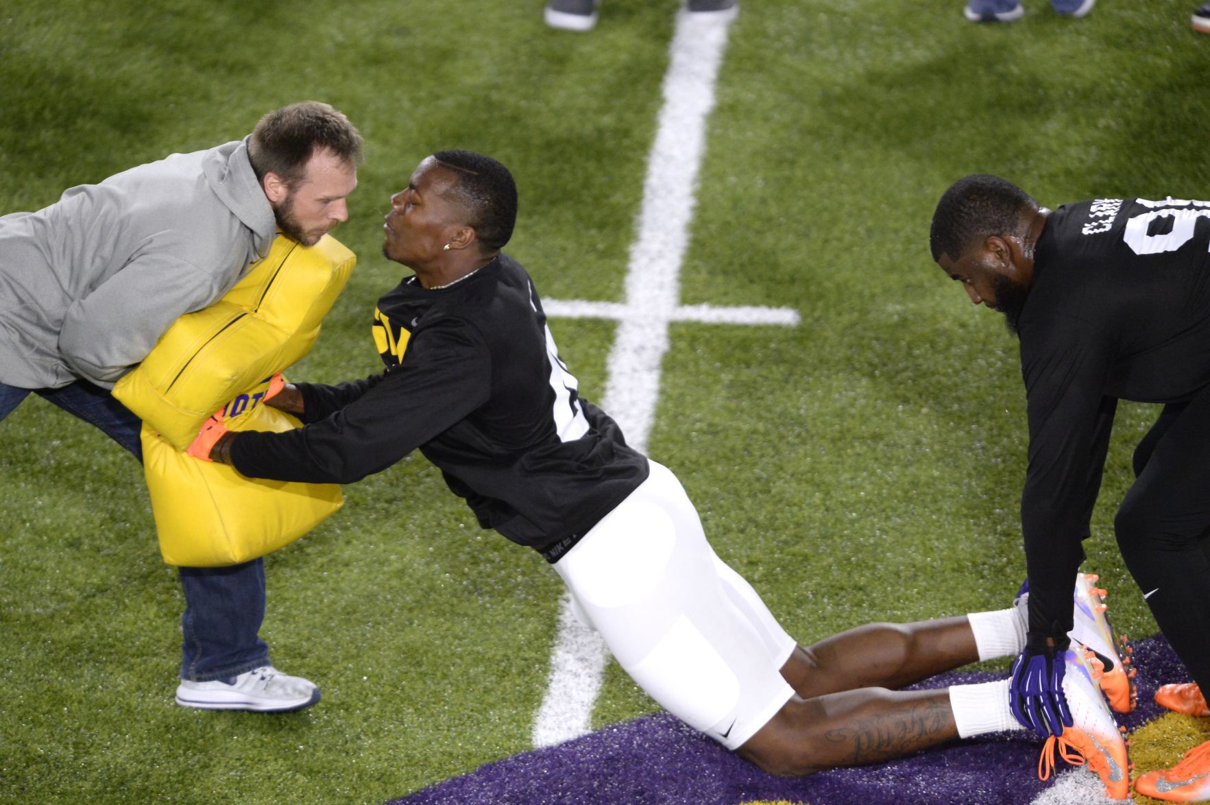 lsu football report tigers