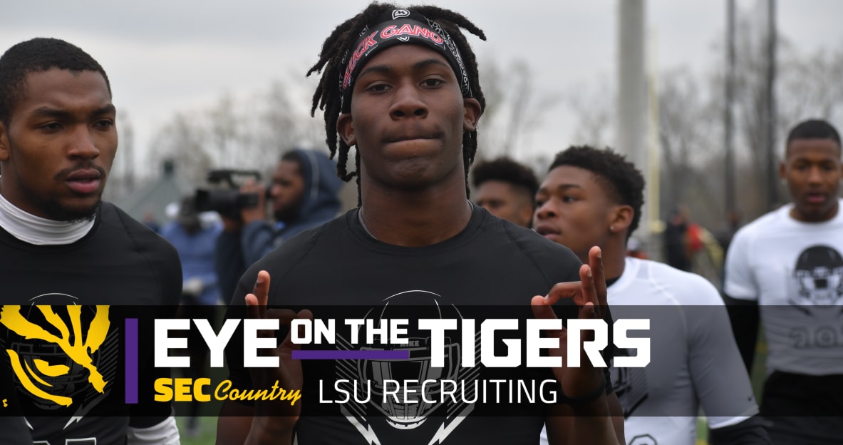 lsu football report tigers