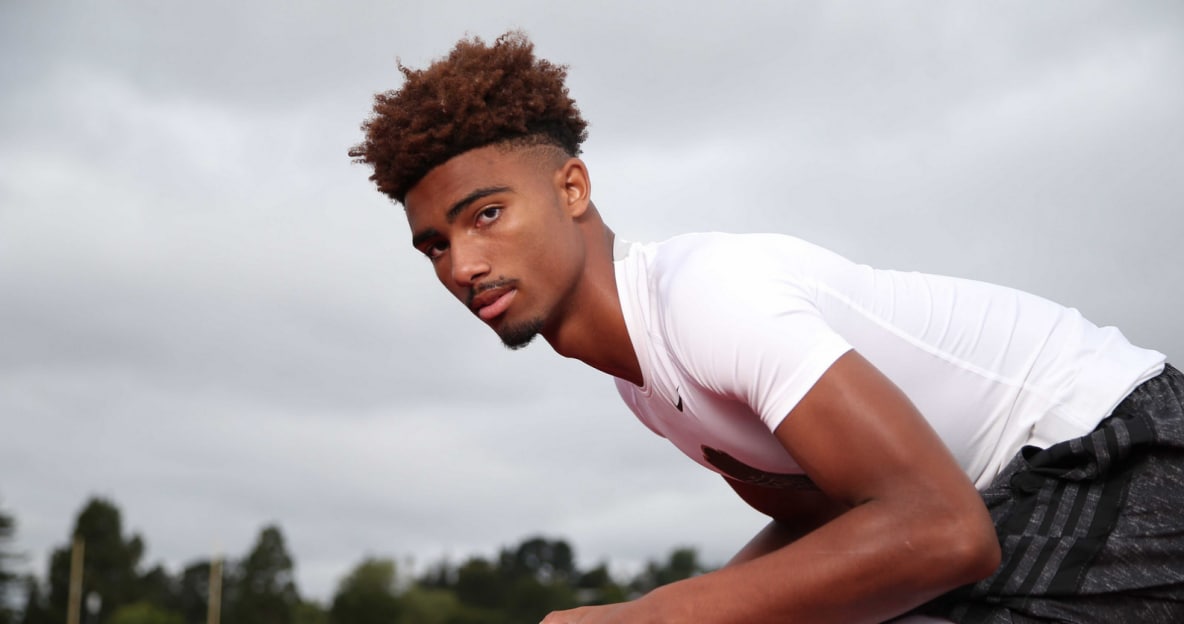 lsu football report tigers