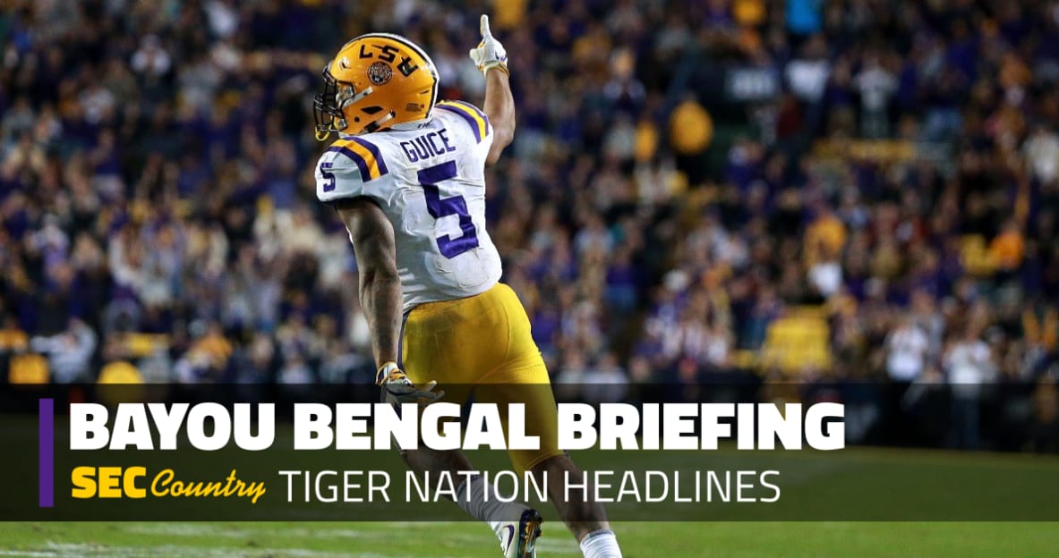 lsu football report tigers