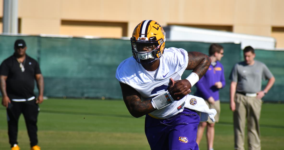 lsu football report tigers