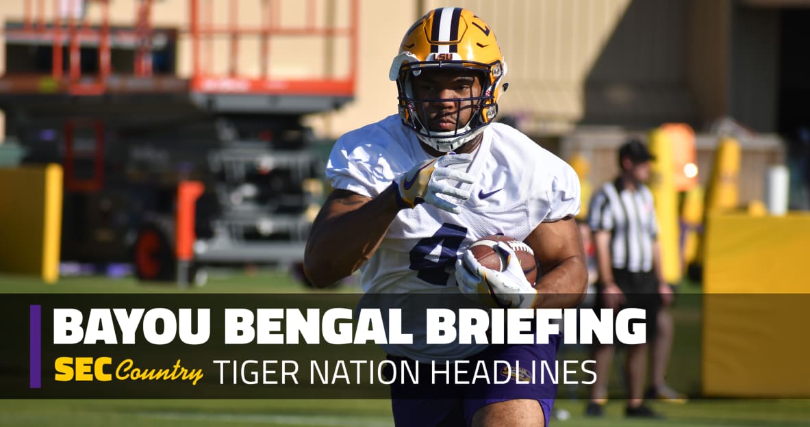 lsu football report tigers