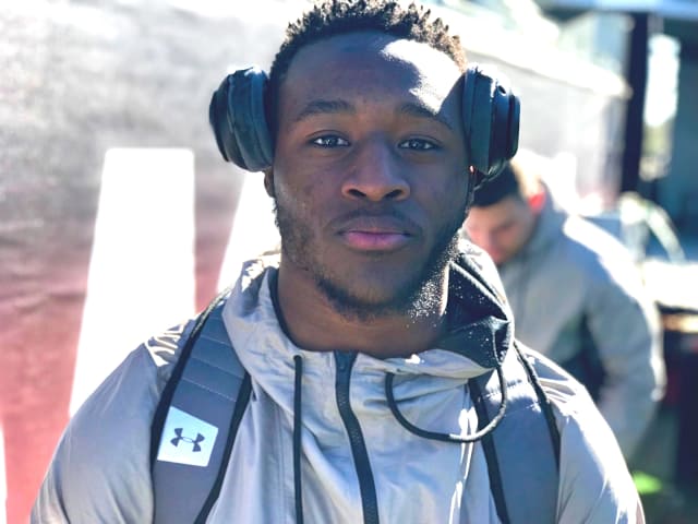 lsu football report tigers