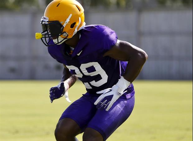 lsu football report tigers