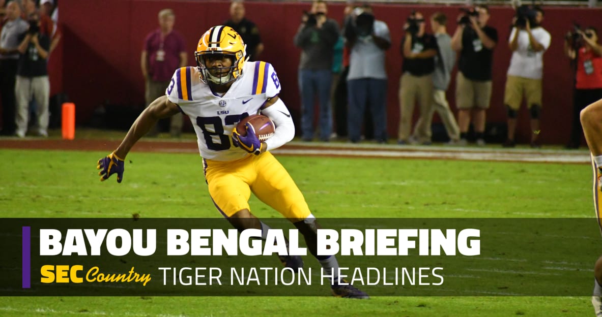 lsu football report tigers