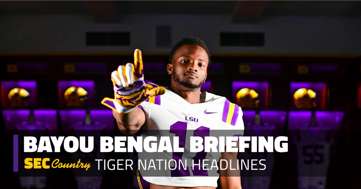 lsu football report tigers