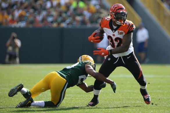 lsu football report tigers