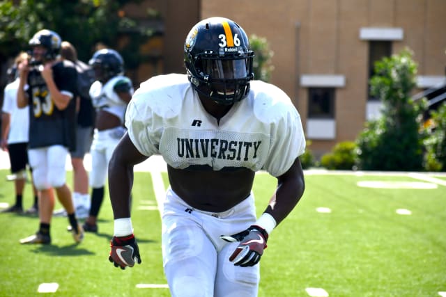 lsu football report tigers